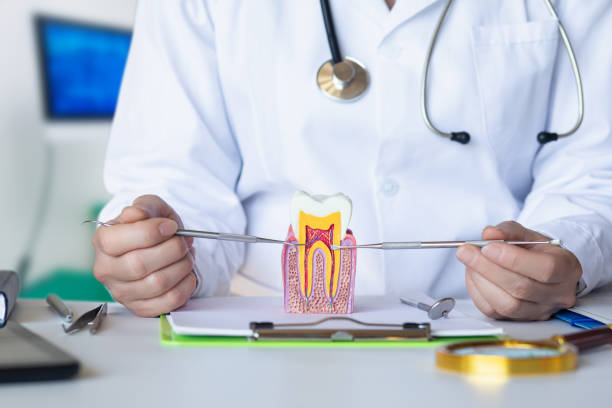 Best Emergency Treatment for Oral Infections in Beverly, NJ